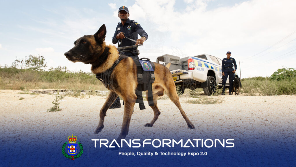 Canine Division